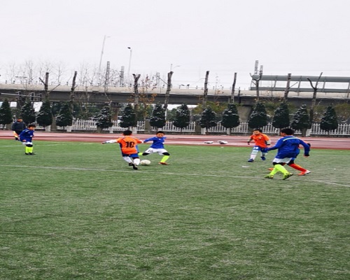 QQ图片20190108131157.jpg QQ图片20190108131157.jpg
