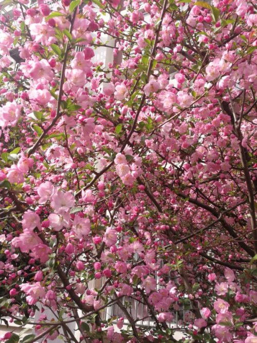 mmexport1585320482852.jpg mmexport1585320482852.jpg